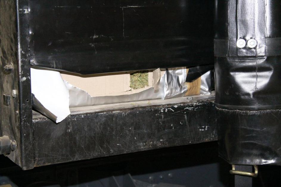 Zaseg marihuane na Gruškovju 