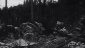 Strmoglavljenje letala1966