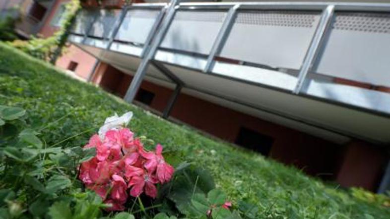 Rože na prizorišču tragedije