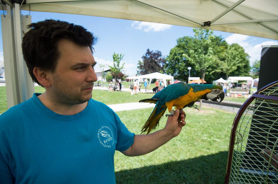 Festival za ljubitelje živali