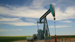 Z ustavitvijo izvoza želijo pomagati domačemu trgu. (Foto: Istockphoto)