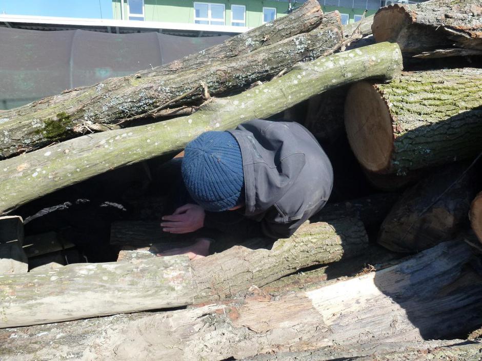 Ilegalci skriti med lesom | Avtor: PMP Dobova