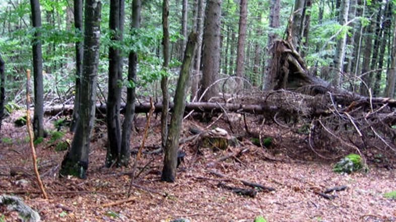 Kraj na fotografiji je na območju Planinskega vrha na Mežakli in je ena izmed mo