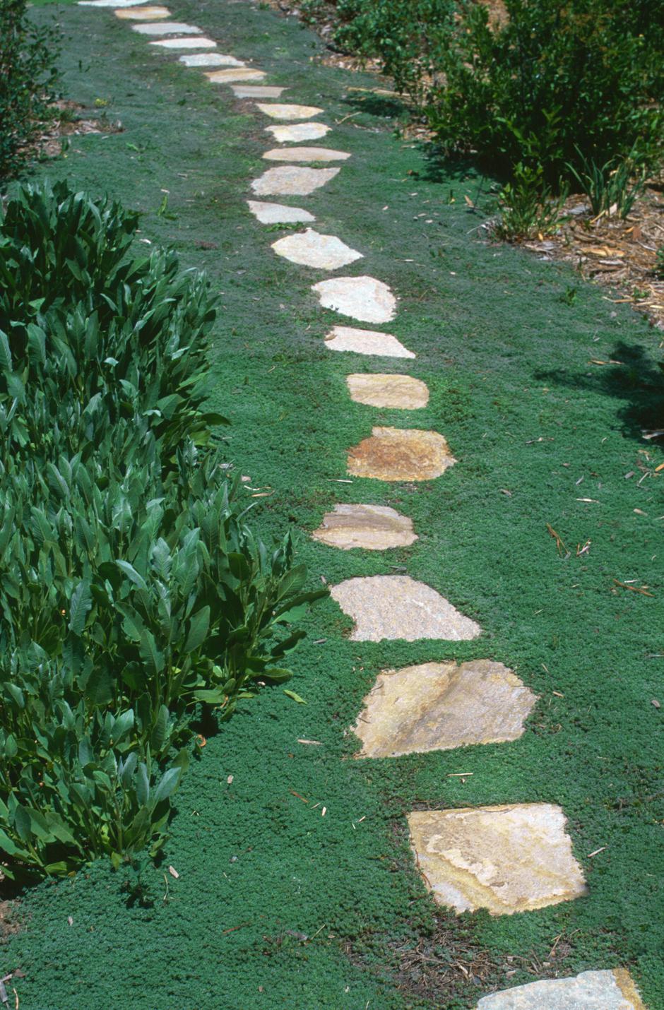 tlakovanje | Avtor: Profimedia