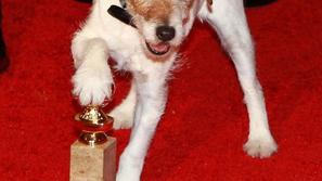 Uggie