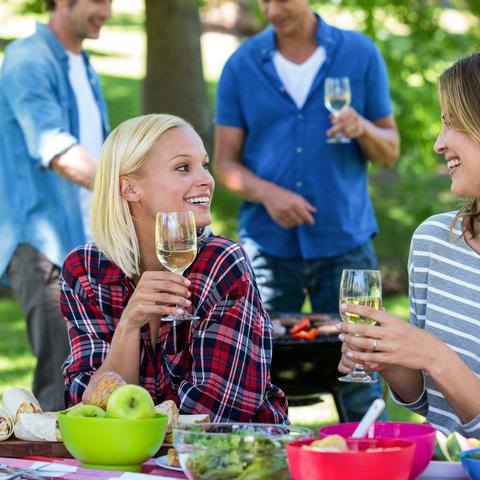 žar, piknik, prijatelji, vino