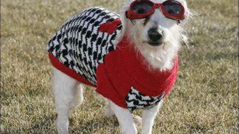 Chanel je dama v najboljših letih.