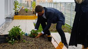 Zelena streha na OŠ Staneta Žagarja