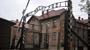 V Auschwitz je bilo pripeljanih okoli 1,3 milijona ljudi – od lakote, izčrpanost