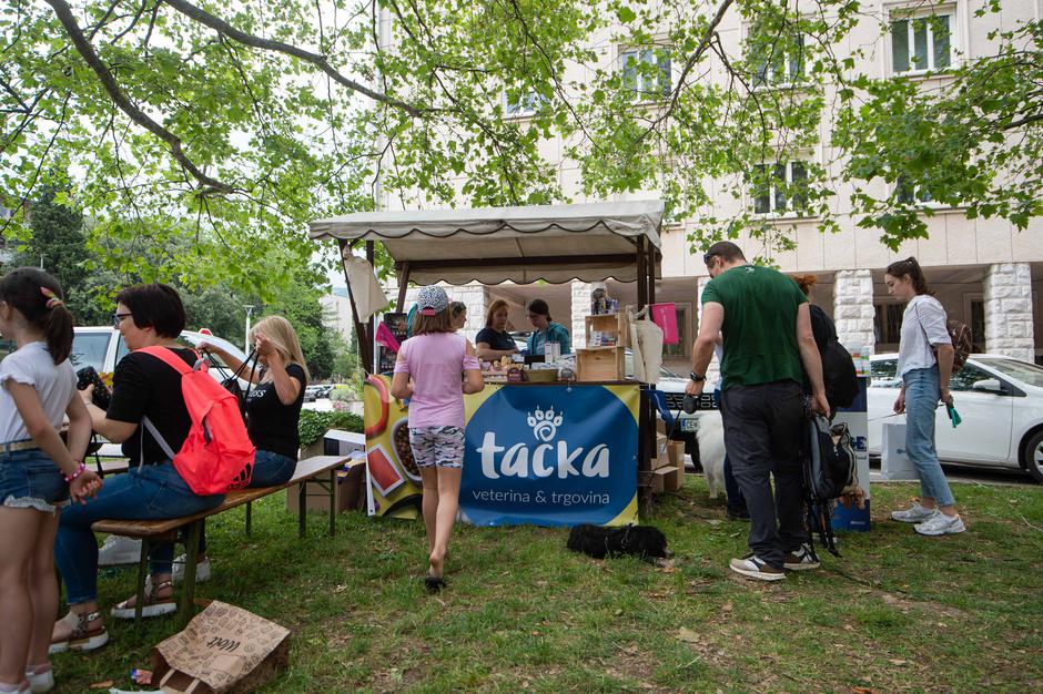 Festival za ljubitelje živali 2023 | Avtor: Anže Petkovšek