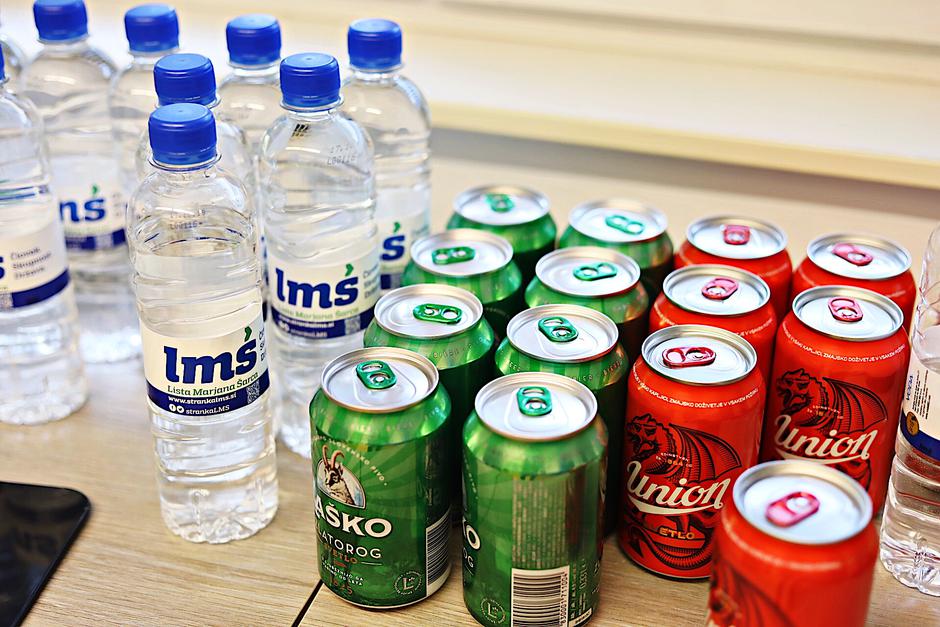 volitve v evropski parlament 2019 | Avtor: Saša Despot