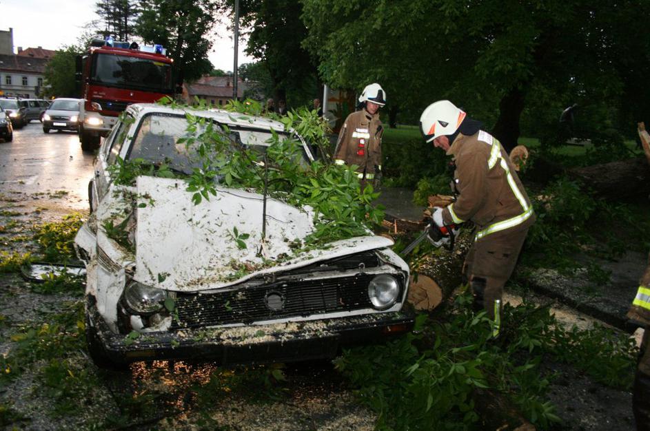 V neurju zrušeno drevo v hrvaškem Karlovcu