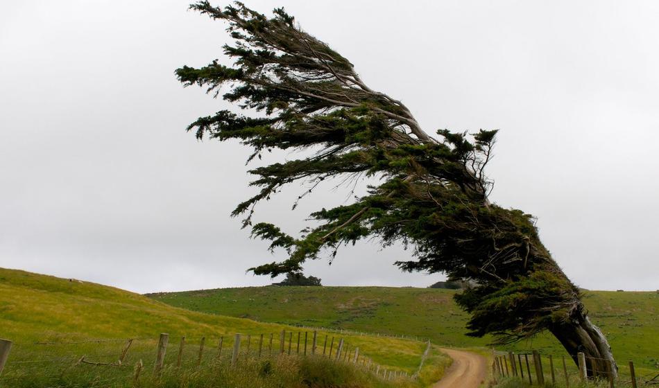 V tem delu Slovenije danes kar pet različnih opozoril