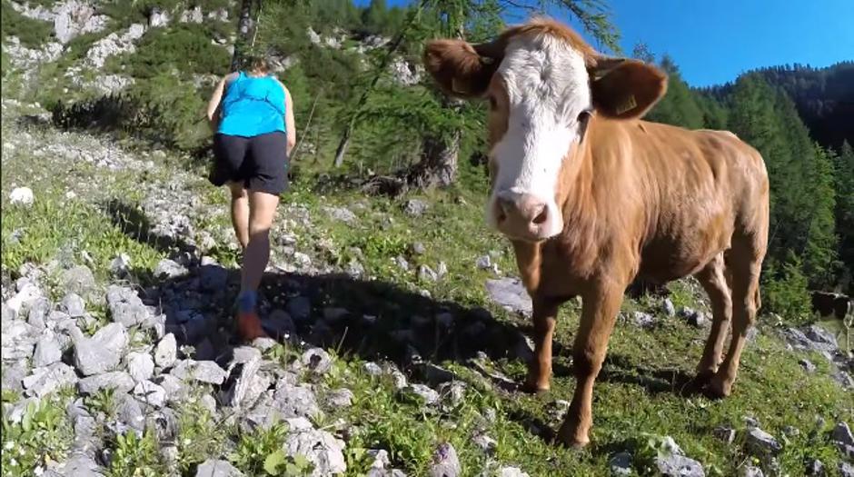 ana čufer | Avtor: Andreja Cilenšek