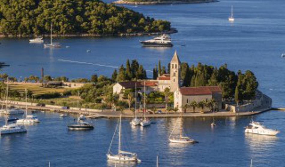 V Jadranskem morju opazili eno najnevarnejših rib na svetu