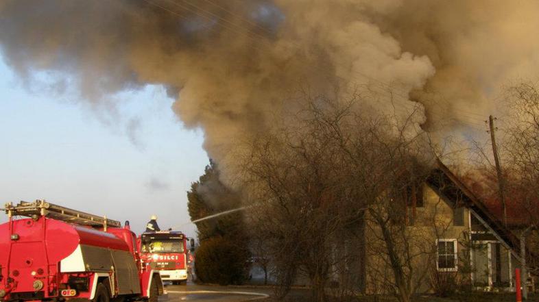 Požar v Selah pri Dobovi