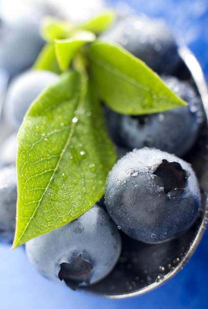 (Foto: Shutterstock)