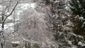 Sneg v Koroški Beli