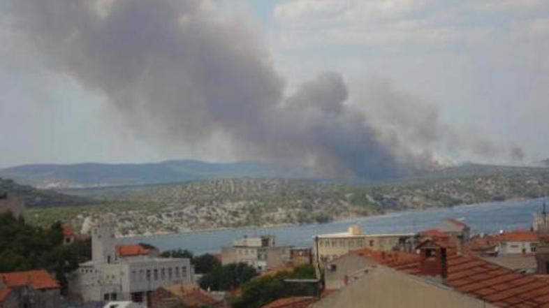 Ogenj se je razširil po osmih hektarjih borovega gozda.