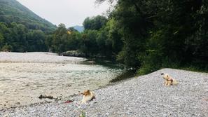 Reka Idrijca