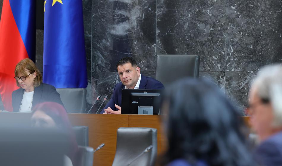 V parlamentu so se tik pred glasovanjem vsi režali kot pečeni mački