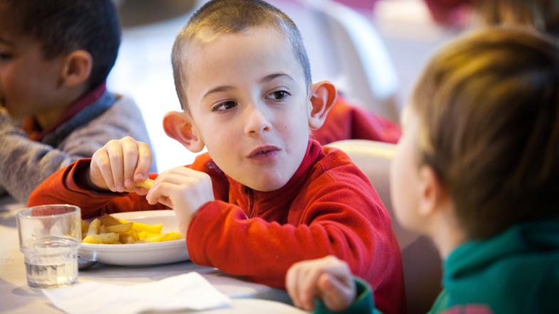 Šolska prehrana