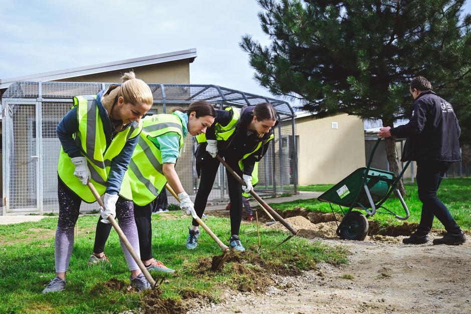 Dobrodelna akcija v Zavetišču za živali Maribor s strani zaposlenih NKBM | Avtor: Andreja Cilenšek