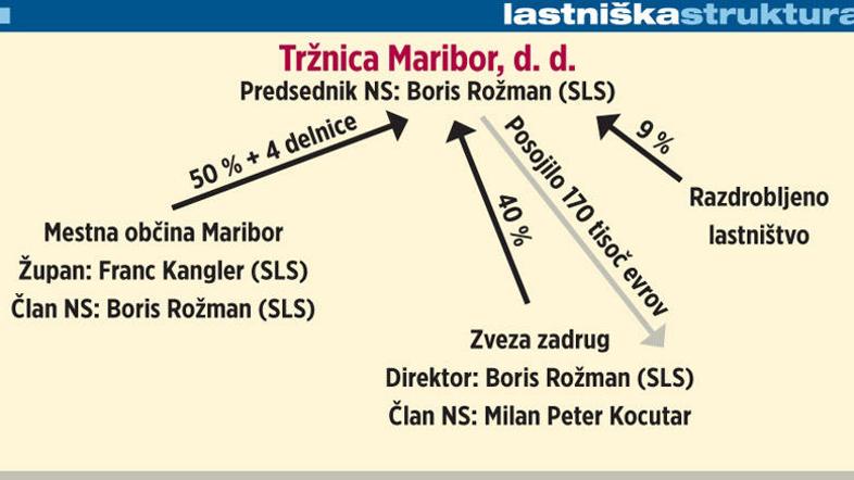 Lastniška struktura Tržnice Maribor.  (Foto: žurnal24grafika)