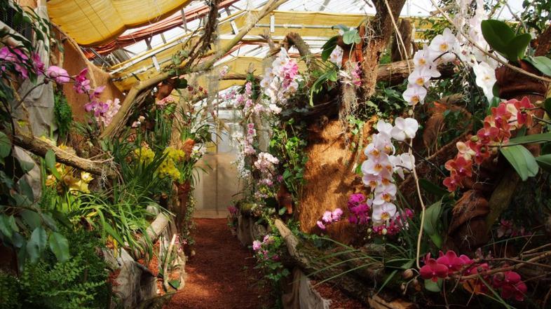 rastlinjak v kraju Mele