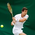Bedene : Marterer