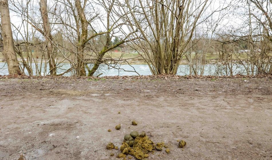 Ugrabili so ga zaradi ukradenih 30 pušk, 300.000 evrov in kokaina