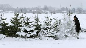 Zaradi obilnega sneženja je na avstrijskem Koroškem brez elektrike ostalo več st