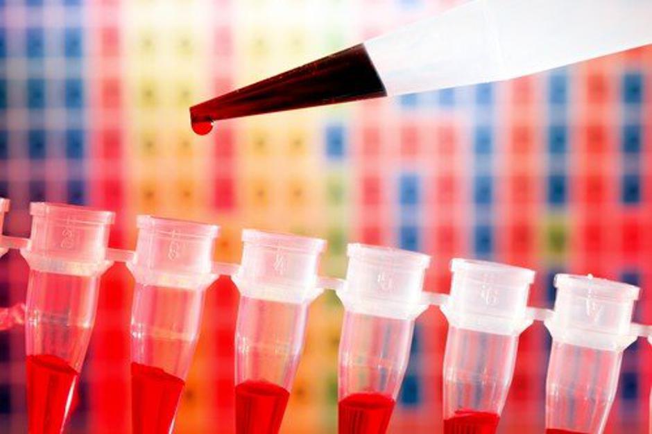 Genetika | Avtor: Profimedia