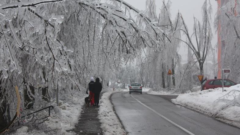 Snežna ujma v Postojni