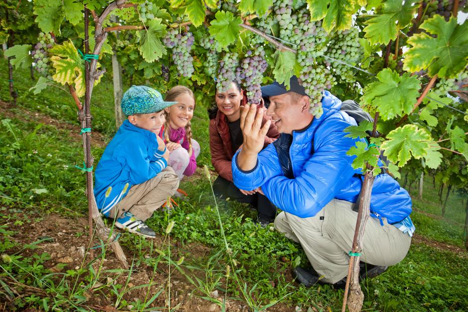 Turistične kmetije | Avtor: Arhiv STO/Jošt Gantar