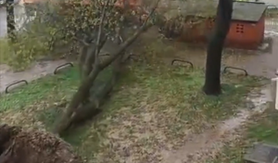 Ponekod po Sloveniji spet dramatično: Veter odkrival strehe, podiral drevesa