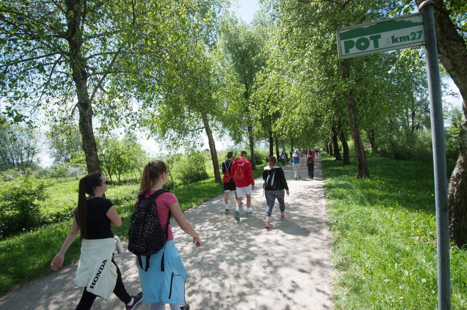 pot ob žici | Avtor: Anže Petkovšek