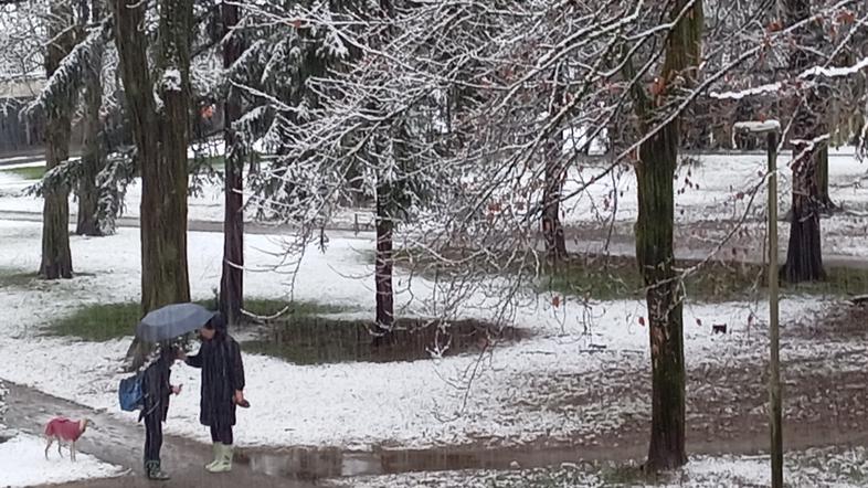 Zima, sneg, Ljubljana