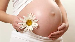 nosečnica, nosečnost