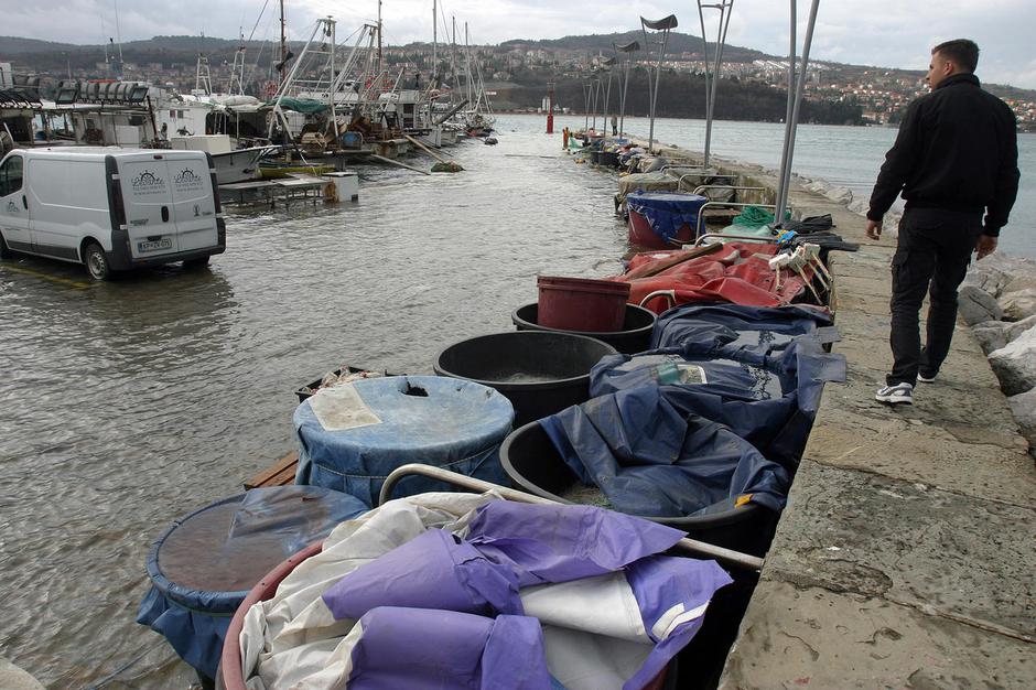  | Avtor: Žurnal24 main