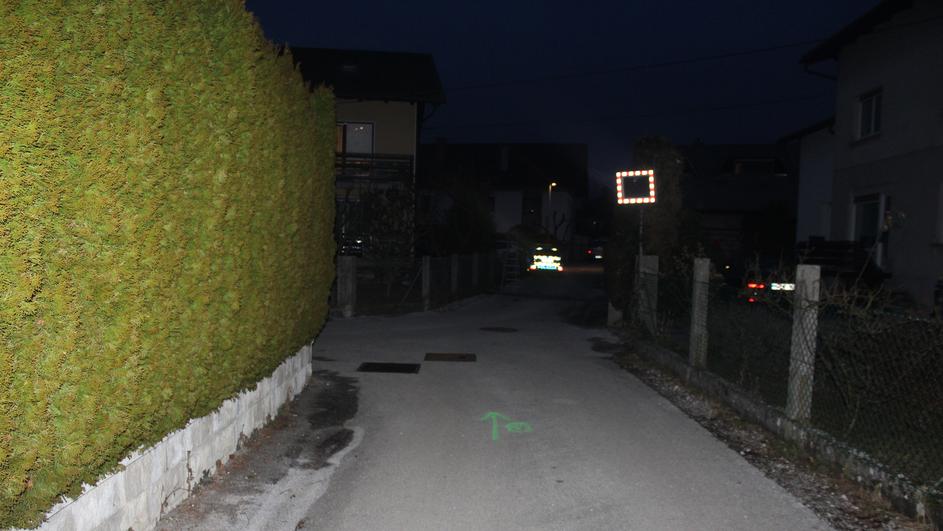 Skiro, nesreča, obrezovanje drevja, PU Kranj