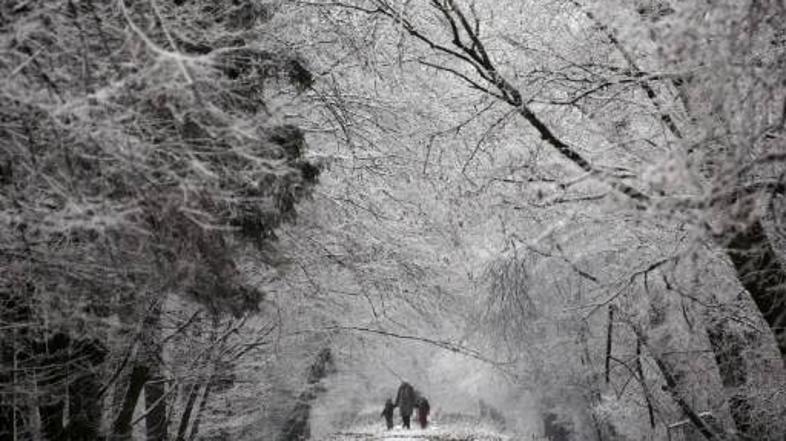 Hudo snežno neurje je v Ameriki vzelo enajst življenj.