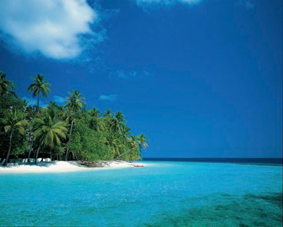 Maldivi | Avtor: Profimedias