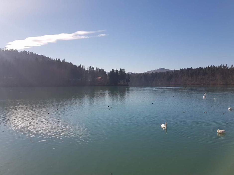 Zbiljsko jezero | Avtor: P.K.