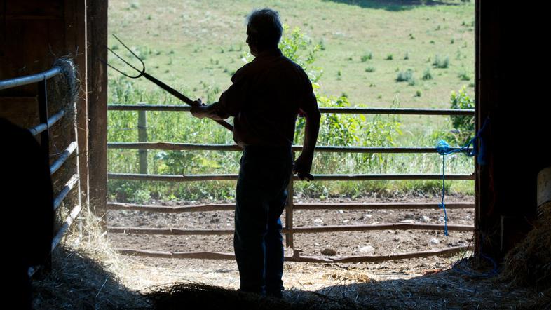 vile kmet kmetovanje