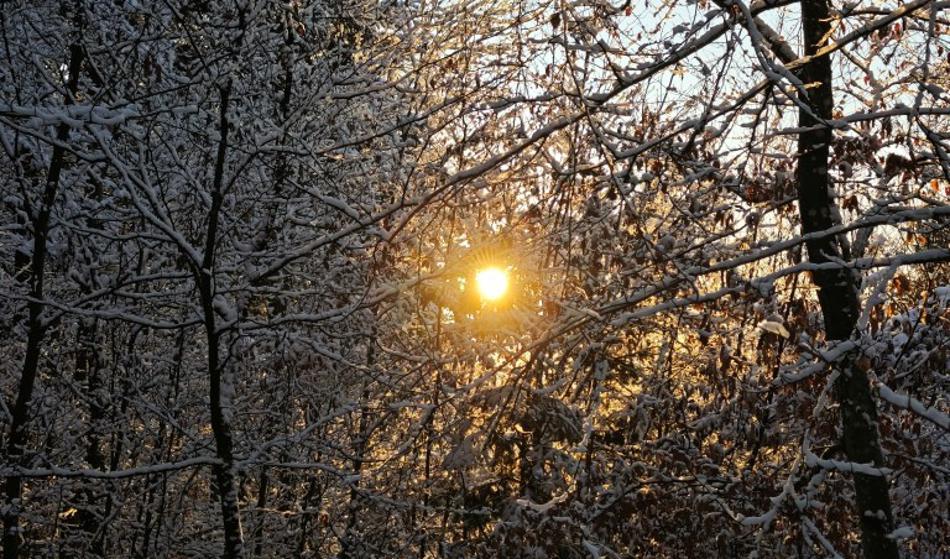 To nas čaka v božičnem tednu!