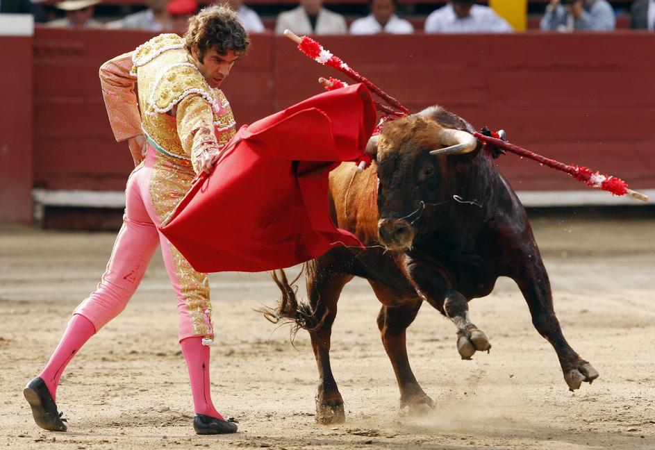 Kljub nevarnosti poklica, se redki matadorji poškodujejo. (Foto: Reuters)