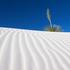 Naravni spomenik White Sands, New Mexico, ZDA