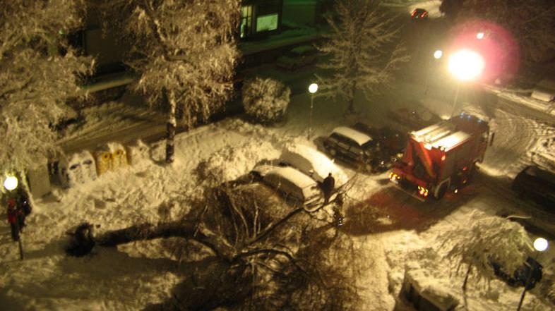 Pod težo snega se je zlomilo veliko dreves. (Foto: Bralec Dejan)