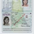 nov potni list